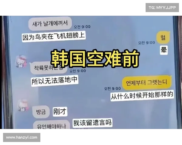 韩国航班空中骤降,乘客受伤:又是波音引发的飞行危机?(韩国飞机坠毁事件) 韩国航班空中骤降,乘客受伤:又是波音引发的飞行危机?(韩国飞机坠毁事件)